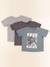 Lot de 3 tee-shirts - 3 ans Bleu, gris 1 - vertbaudet enfant 