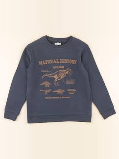 Seconde main-Garçon-Pull, gilet, sweat-Sweat - 10 ans