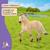 Figurine enfant cheval jument fjord schleich Gris 4 - vertbaudet enfant 