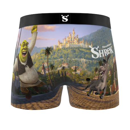 Lot de 3 boxers  shrek Vert/bleu/noir 6 - vertbaudet enfant 