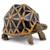 Figurine animaux tortue étoilée Marron 1 - vertbaudet enfant 