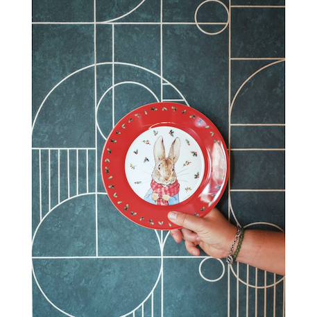 Assiette pierre lapin noël 20 cm Rouge+Vert 3 - vertbaudet enfant 