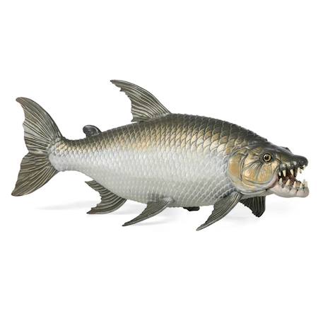 Figurine poisson tigre goliath Marron 1 - vertbaudet enfant 
