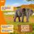 Figurine enfant éléphant d'afrique femelle Unit p. 6 - vertbaudet enfant 