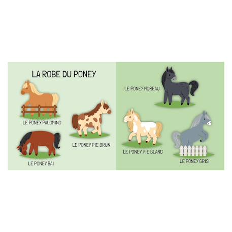 Livre et puzzle les poneys Vert 4 - vertbaudet enfant 