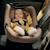 Siège-auto bébé astrid i-size 40-87 cm avec base isofix pivotante à 180°, léger et récompensé par l’adac Beige cream+Beige taupe+Green forest+Pink coral 15 - vertbaudet enfant 