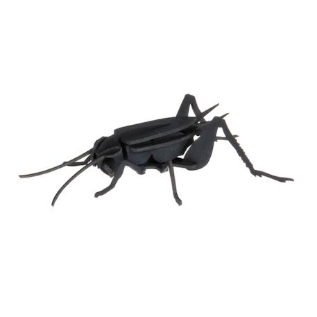 Modèle en papier 3d - criquet Noir 1 - vertbaudet enfant 