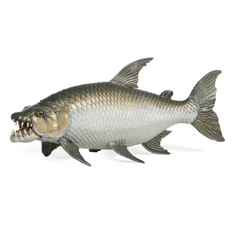 Figurine poisson tigre goliath Marron 2 - vertbaudet enfant 