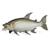 Figurine poisson tigre goliath Marron 2 - vertbaudet enfant 