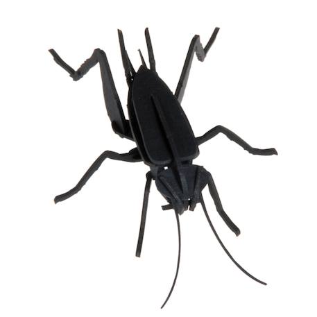 Modèle en papier 3d - criquet Noir 3 - vertbaudet enfant 