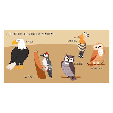 Livre et puzzle les oiseaux Bleu 5 - vertbaudet enfant 