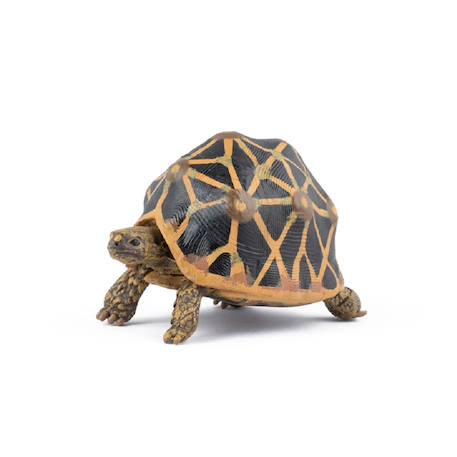 Figurine animaux tortue étoilée Marron 2 - vertbaudet enfant 