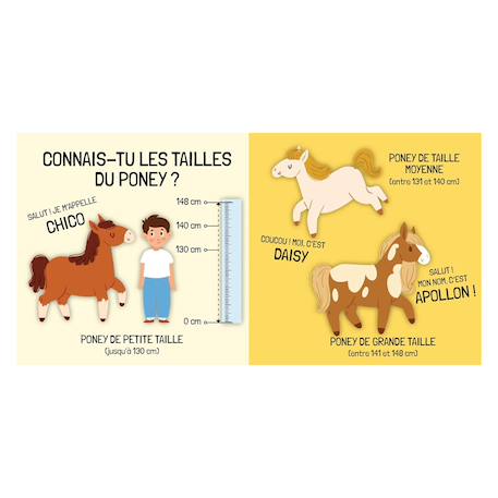 Livre et puzzle les poneys Vert 5 - vertbaudet enfant 