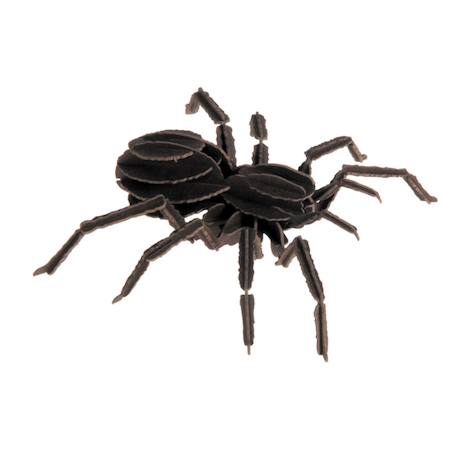 Maquette 3d enfant en papier tarentule Noir 1 - vertbaudet enfant 