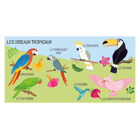 Livre et puzzle les oiseaux Bleu 4 - vertbaudet enfant 
