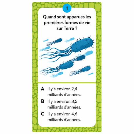 Coffret méga atlas des dinosaures Vert 3 - vertbaudet enfant 