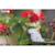 Puzzle 3d - cacatoès Blanc 5 - vertbaudet enfant 