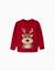 Pull en maille avec pingouin jacquard Beige+Rouge 4 - vertbaudet enfant 