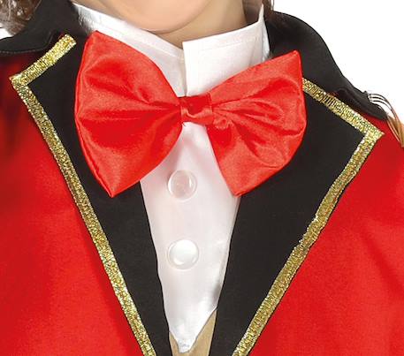 Déguisement enfant garçon présentateur de cirque gilet, chemise, pantalon et chapeau Rouge 2 - vertbaudet enfant 