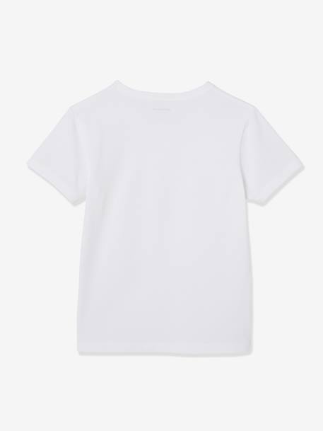 Lot de 3 T-shirts garçon manches courtes BASICS lot blanc+Lot camaieu bleu 5 - vertbaudet enfant 