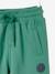 Pantalon de sport Basics garçon en molleton bordeaux+NOISETTE+vert 10 - vertbaudet enfant 