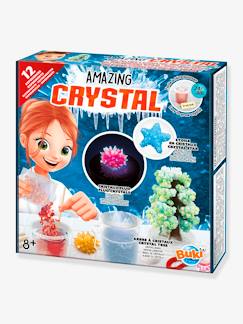cadeaux-anniversaire-Jouet-Jeux éducatifs-Jeux scientifiques et multimédia-Amazing Crystal BUKI