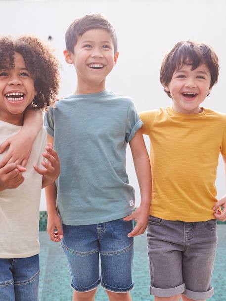 T-shirt garçon personnalisable manches courtes aubergine+blanc+BLEU+jaune pâle+mangue+sauge 38 - vertbaudet enfant 