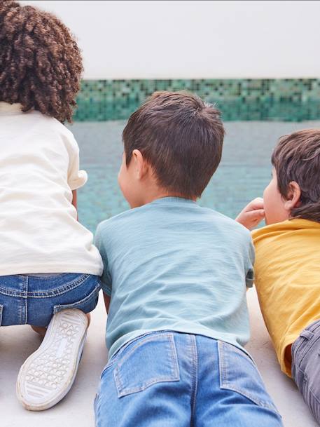 T-shirt garçon personnalisable manches courtes aubergine+blanc+BLEU+jaune pâle+mangue+sauge 40 - vertbaudet enfant 