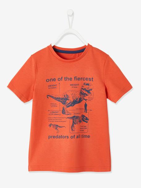 Tee-shirt garçon motif animal manches courtes Oeko-Tex® Orange+sauge 1 - vertbaudet enfant 