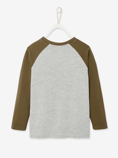 T-shirt motif graphique garçon manches raglan Oeko-Tex® BLEU+gris clair chiné+NOISETTE 6 - vertbaudet enfant 