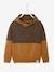 Pull garçon col croisé maille fantaisie effet color block Noisette 1 - vertbaudet enfant 