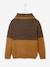 Pull garçon col croisé maille fantaisie effet color block Noisette 2 - vertbaudet enfant 