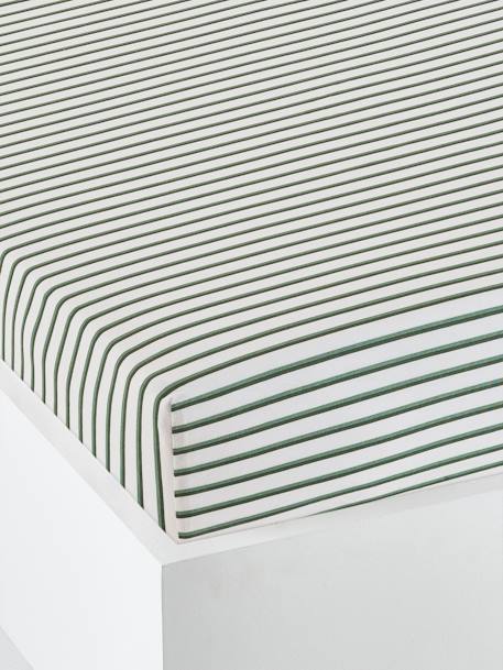 Drap-housse bébé GREEN FOREST écru / vert 1 - vertbaudet enfant 