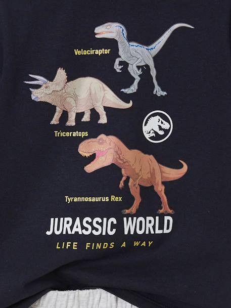 Pyjashort garçon Jurassic World® Bleu / Gris 4 - vertbaudet enfant 