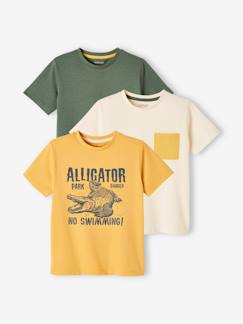 Garçon-T-shirt, polo, sous-pull-Lot de 3 tee-shirts garçon assortis mances courtes