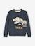 Pull jacquard motif ludique garçon MARINE 1 - vertbaudet enfant 