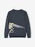 Pull jacquard motif ludique garçon MARINE 2 - vertbaudet enfant 