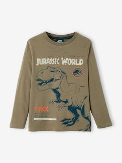 Garçon-T-shirt, polo, sous-pull-T-shirt manches longues garçon Jurassic World®