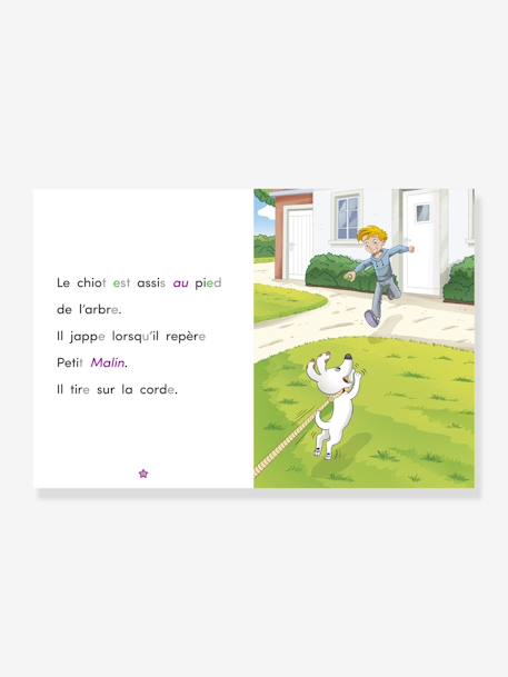Apprendre à lire avec les Alphas - Un ami fidèle RÉCRÉALIRE violet 2 - vertbaudet enfant 