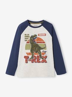 Garçon-T-shirt motif graphique garçon manches raglan Oeko-Tex®
