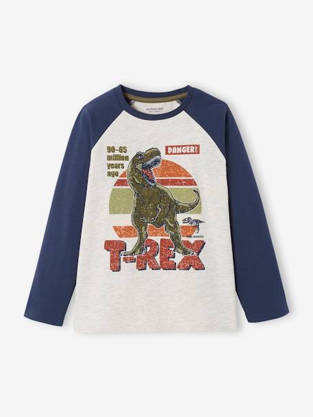 T-shirt motif graphique garçon manches raglan Oeko-Tex® BLEU+gris clair chiné+NOISETTE 1 - vertbaudet enfant 