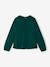 Tee-shirt blouse fille détail broderie anglaise manches longues bleu pâle+écru+marine+mauve+vert foncé 18 - vertbaudet enfant 