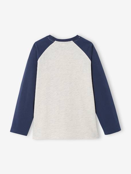 T-shirt motif graphique garçon manches raglan Oeko-Tex® BLEU+gris clair chiné+NOISETTE 2 - vertbaudet enfant 
