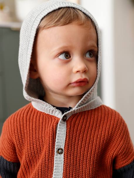 Gilet en tricot bébé avec capuche rouille 5 - vertbaudet enfant 