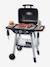Barbecue Grill - noir 1 - vertbaudet enfant 