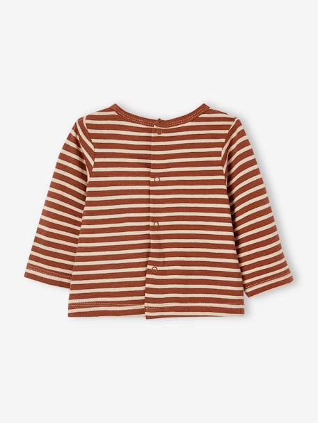 Lot de 2 T-shirts bébé manches longues noisette 7 - vertbaudet enfant 