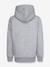 Sweat hoodie gris+marine+rouge 2 - vertbaudet enfant 