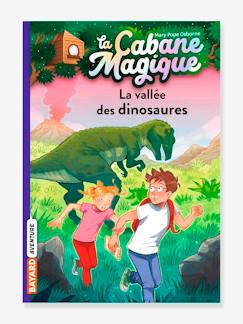 Jouet-Livres-Livres d'activités et de jeux-La cabane magique - t.1 - La vallée des dinosaures - BAYARD JEUNESSE