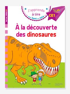Jouet-Livres-Livres d'activités et de jeux-Sami et Julie - CE1- À la découverte des dinosaures - HACHETTE EDUCATION