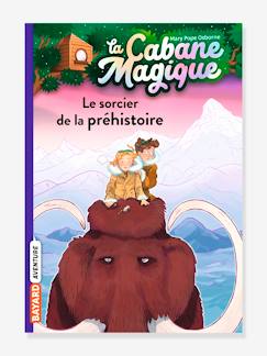 Jouet-Livres-La cabane magique - t.6 - Le sorcier de la préhistoire - BAYARD JEUNESSE